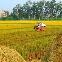 5 tháng đầu năm: Xuất siêu đạt 3,39 tỷ USD