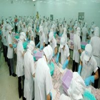 Aquatic Product Exports Bring Home US$2.4 Billion in Four Months