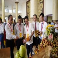Bắc Giang mở rộng xuất khẩu vải thiều sang Trung Đông, Thái Lan