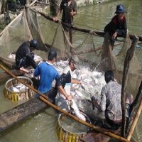 Cẩn trọng khi xuất khẩu thủy sản qua Trung Quốc