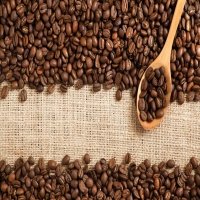 Coffee sector wakes up to value of processed, organic brands