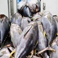 EU to remove tax on 11,500 tonnes of Vietnamese canned tuna
