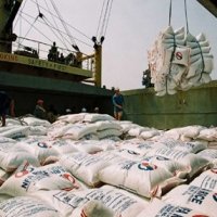 Export Highlights in First Half of 2018