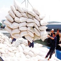Giảm chi phí, tăng chất lượng để thúc đẩy xuất khẩu