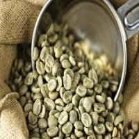 “Lên đời” cho cà phê Arabica