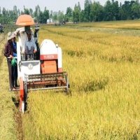 Mekong Delta boosting post-Covid-19 agricultural production