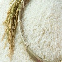 New market opportunities open up for Vietnam’s rice exports