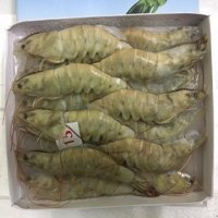 Nhiều cơ hội xuất khẩu tôm sang EU