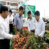 Nhiều “nút thắt” xuất khẩu nông sản Việt đang dần được tháo gỡ