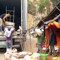 Nông sản Đà Lạt bị nông sản Trung Quốc lấn ép ngay trên sân nhà