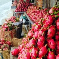 Nông sản Việt: Xuất khẩu nhiều nhưng vẫn có... vị đắng