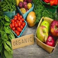 Organic produce exporters explore global opportunities