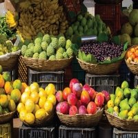 Quy định mới cho xuất khẩu rau quả vào EU