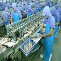 Quý I, kim ngạch xuất khẩu thủy sản tăng trưởng 2 con số
