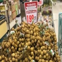 RỘNG CỬA XUẤT KHẨU HÀNG HÓA SANG AUSTRALIA