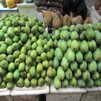 Tiêu thụ xoài thành công đến nhiều thị trường
