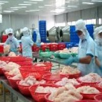 Trung Quốc giảm thuế nhập khẩu thủy sản: Vừa mừng vừa lo