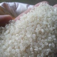 Việt Nam to achieve rice export target this year: insider