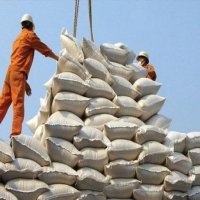 Vietnam’s rice exports boom, outpacing other produce exports
