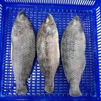 Vietnam seeks to catch up with seafood export targets