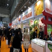Vietnamese farm produce promoted in Japan