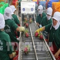 Vietnamese farm produce see big chances in Korean market