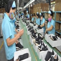 Widening trade cooperation between Vietnam and Uruguay