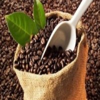 XUẤT KHẨU CÀ PHÊ-KHÔNG CẨN THẬN LÀ MẤT HẠNG NHÌ