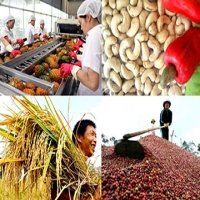 Xuất khẩu nông lâm thủy sản đạt gần 9 tỷ USD trong quý đầu năm