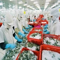 Xuất khẩu nông sản sang Trung Quốc: Thích ứng với quy định mới