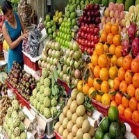 Xuất khẩu rau quả đang chững lại