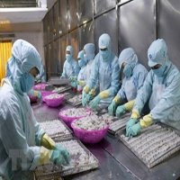 Xuất khẩu thủy sản tiếp tục giữ mức tăng trưởng hai con số