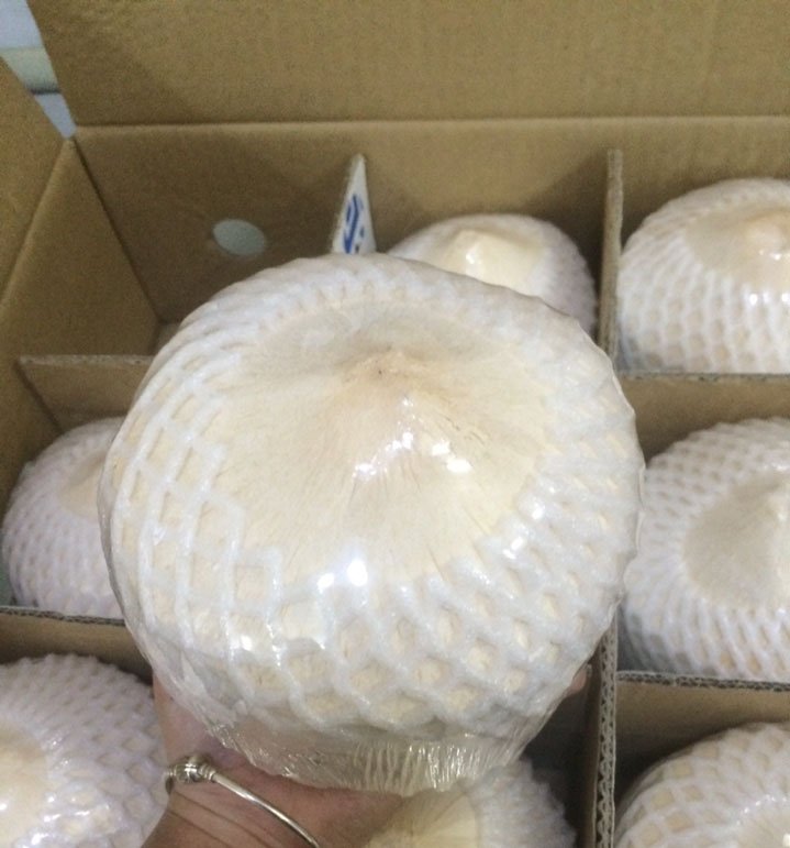 Dừa Tươi Xuất Khẩu