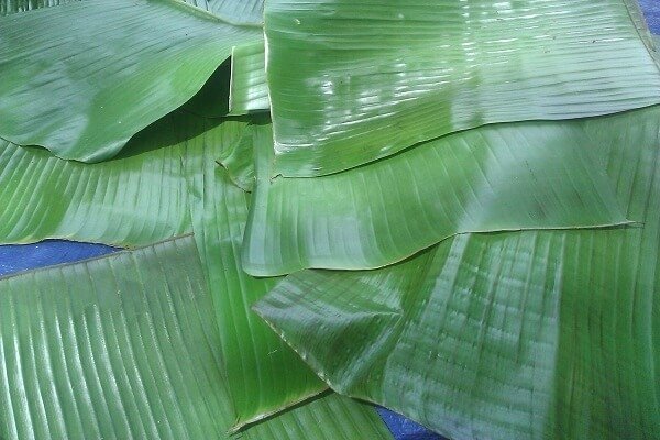 Lá Chuối Đông Lạnh Xuất Khẩu