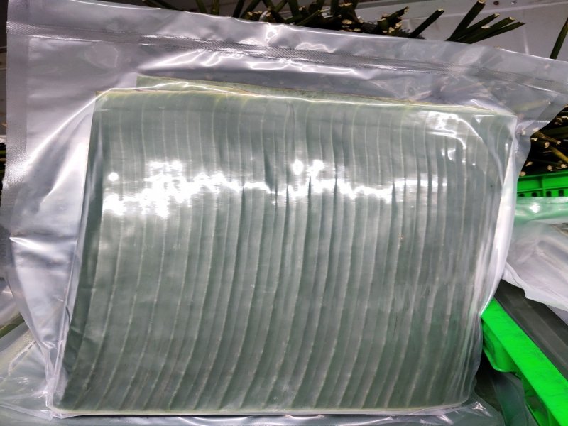 Lá Chuối Xuất Khẩu
