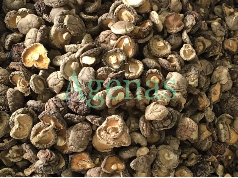 DRIED SHIITAKE MUSHROOM
