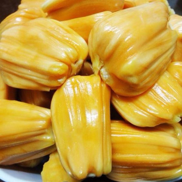 Fresh Jackfruit from Vietnam