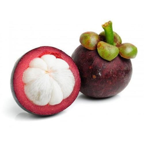 Fresh Mangosteen From Vietnam