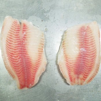 FROZEN TILAPIA FILLET