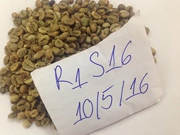 Зеленый кофе в зернах. Робуста из Вьетнама. 